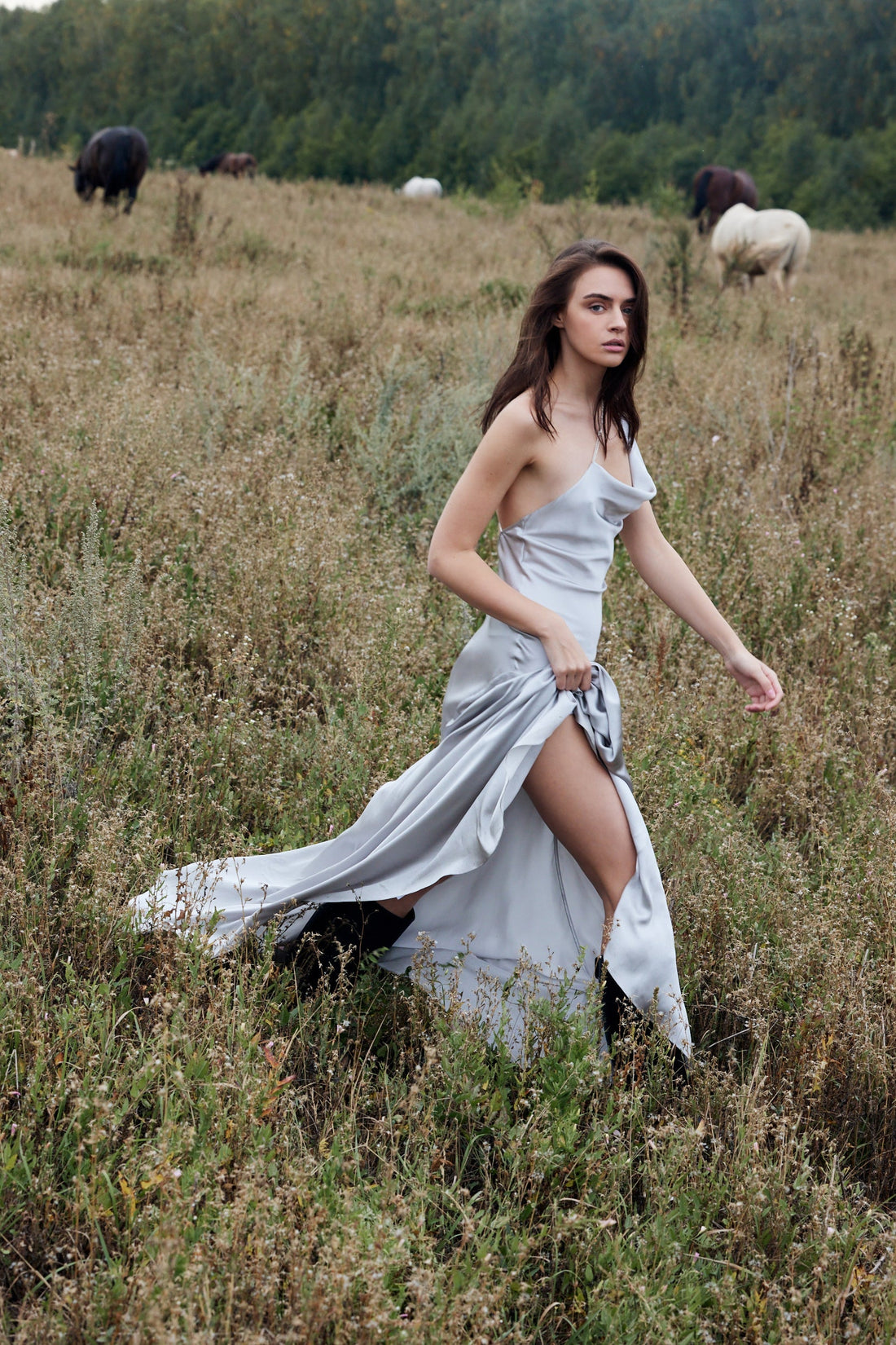 Silver Iris Dress