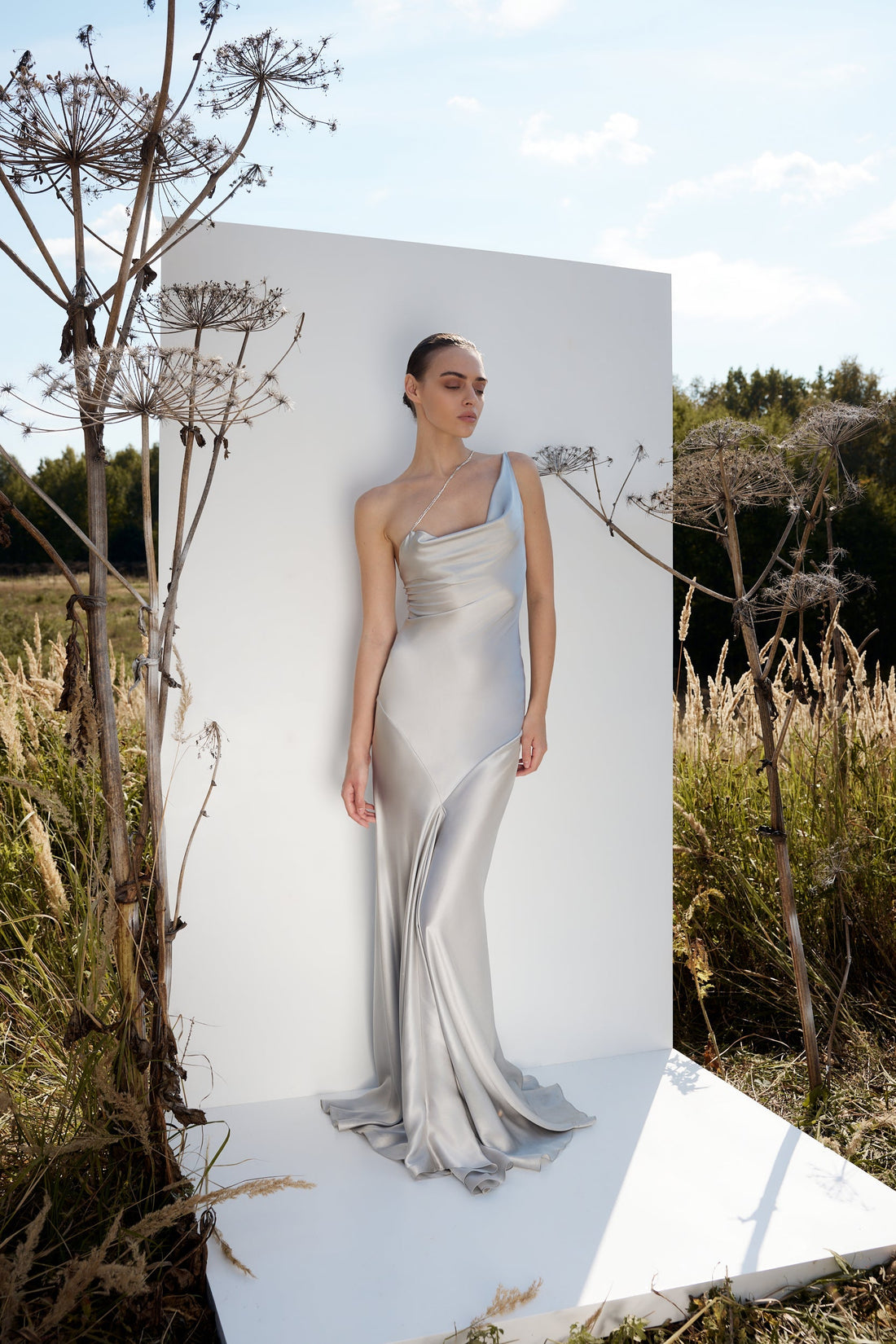 Silver Iris Dress