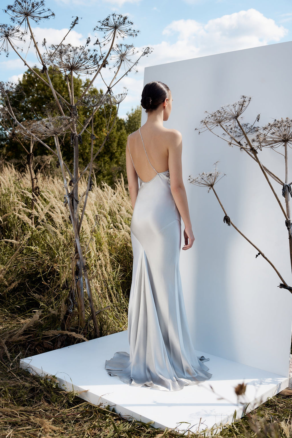Silver Iris Dress