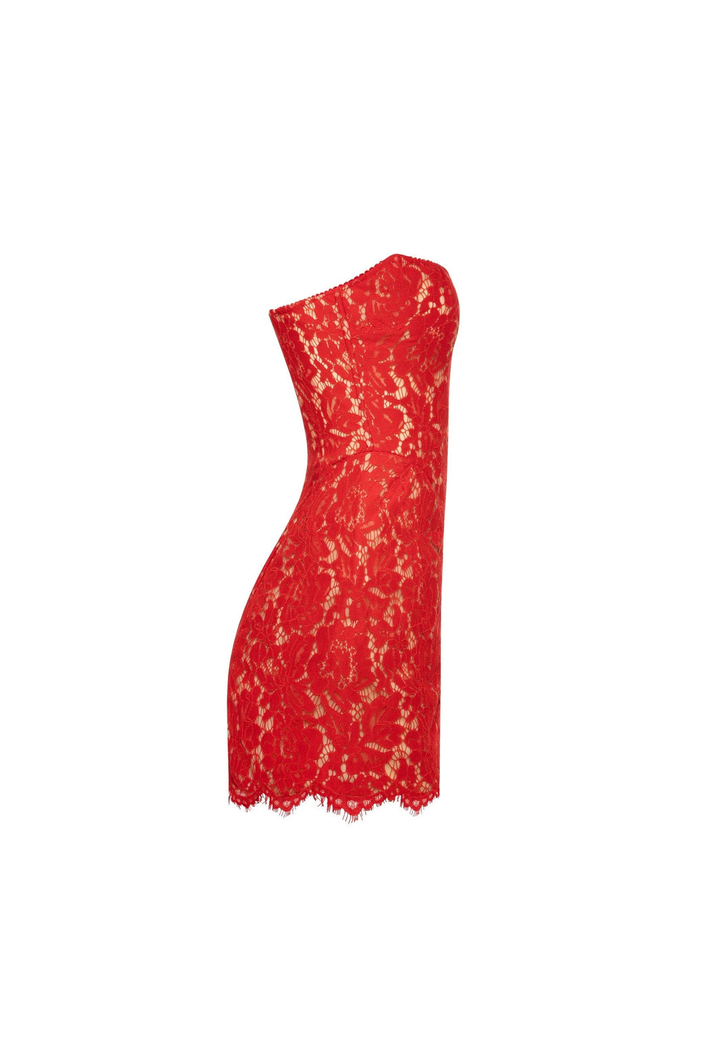 Luciana Lace Dress