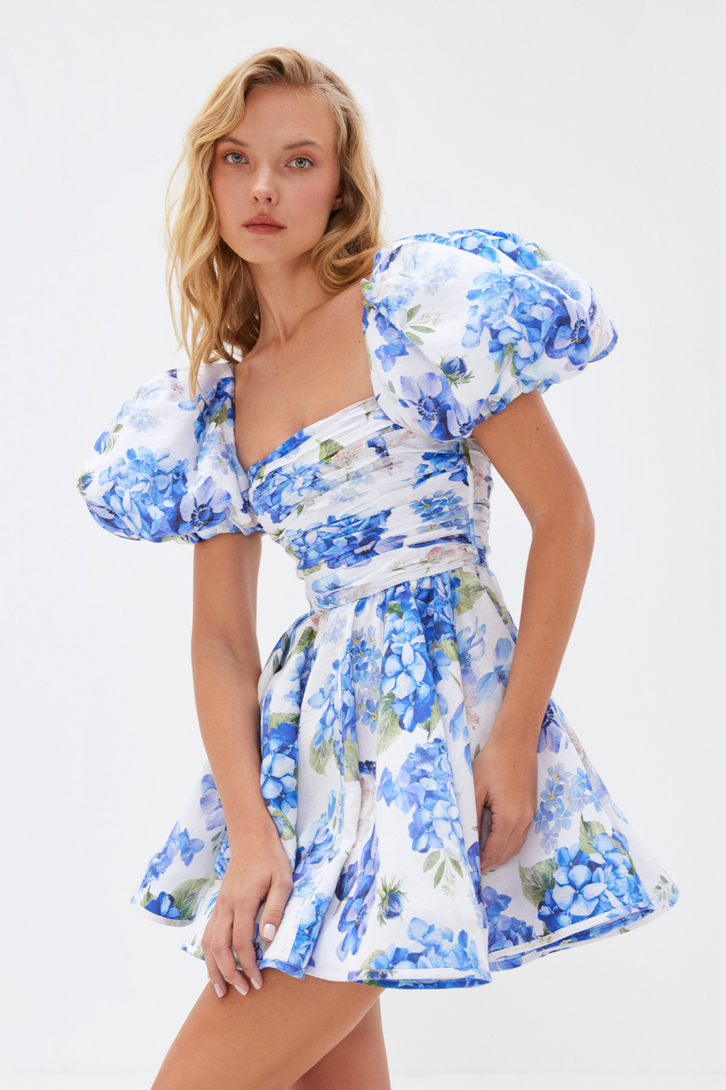 Bluebird Reverie Helebore Dress