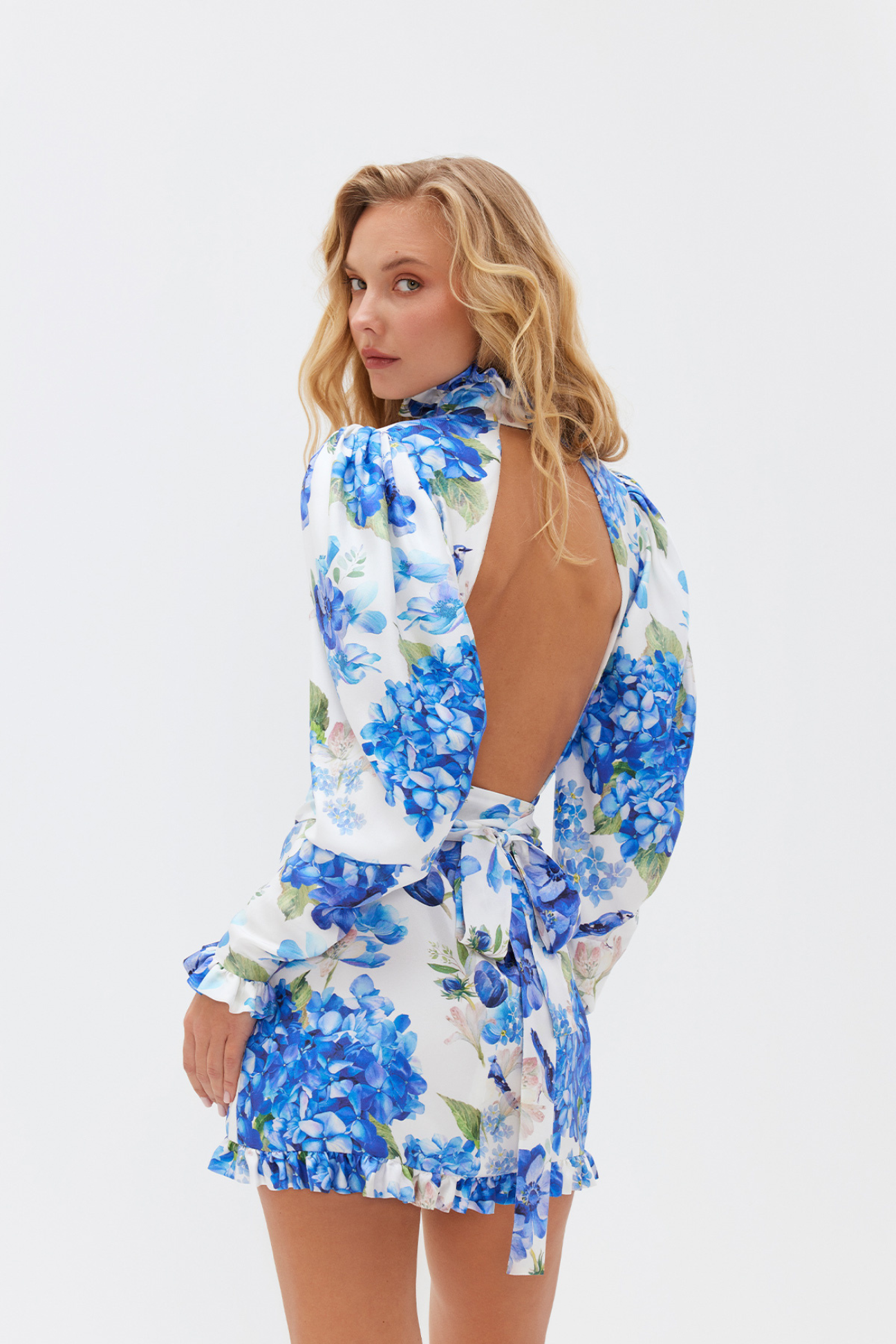 Bluebird Reveri Rose Dress